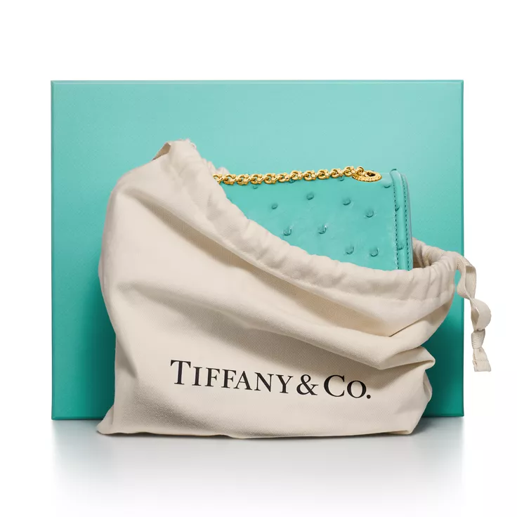 Jean Schlumberger by Tiffany:Medium Ribbons Shoulder Bag in Ostrich Leather, 11