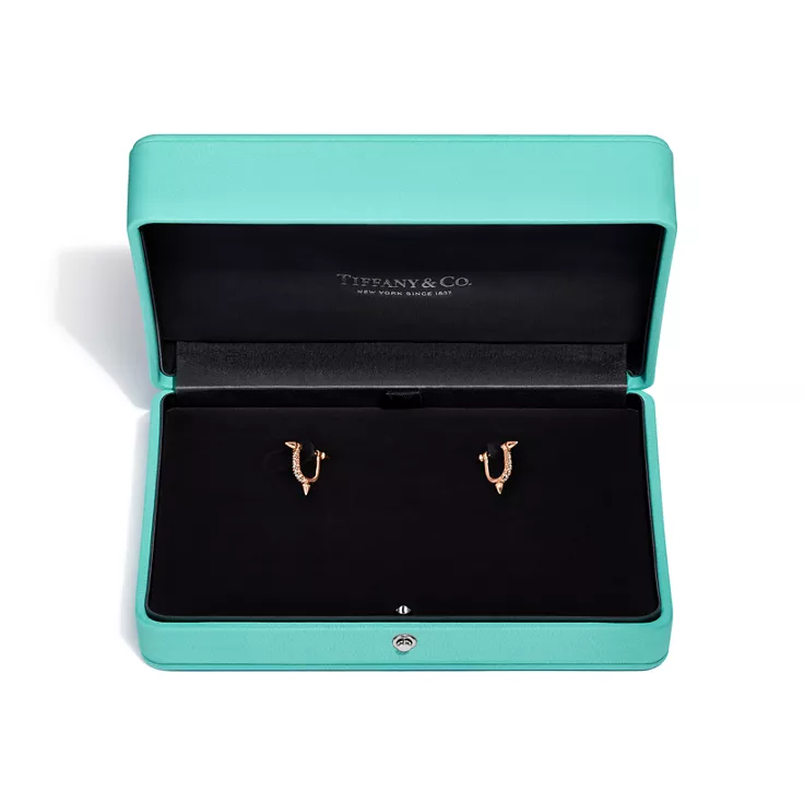 Tiffany Titan by Pharrell Williams:Kleine Ohrringe in Roségold mit Diamanten, 5
