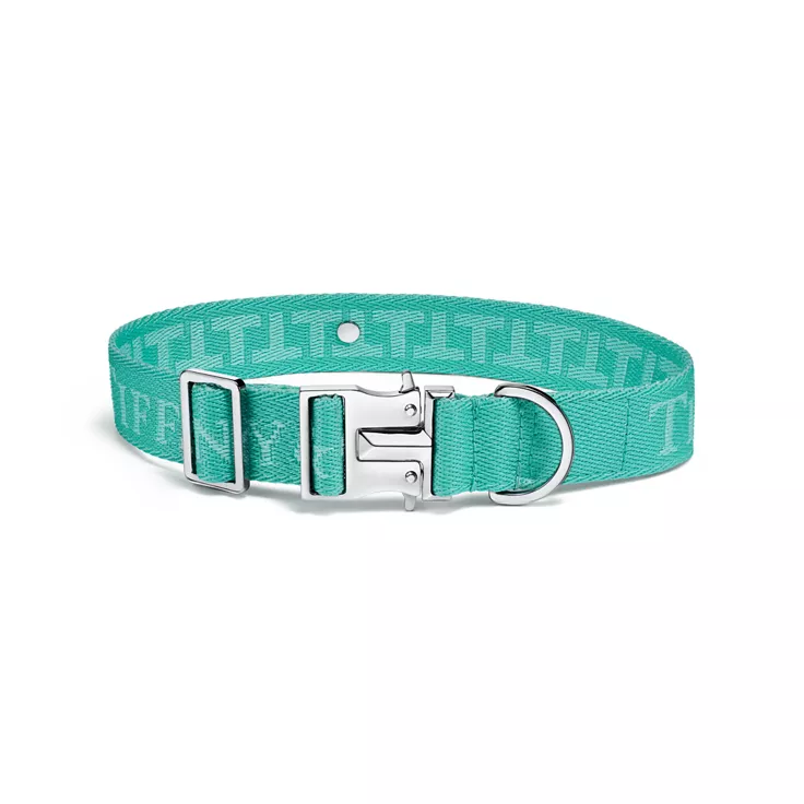 Pet Essentials:Collar in Tiffany Blue™ Canvas, 1