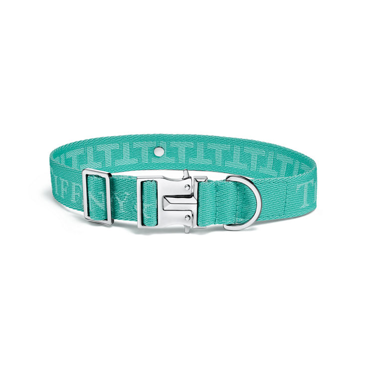 Pet Essentials:Collar in Tiffany Blue™ Canvas image number 1
