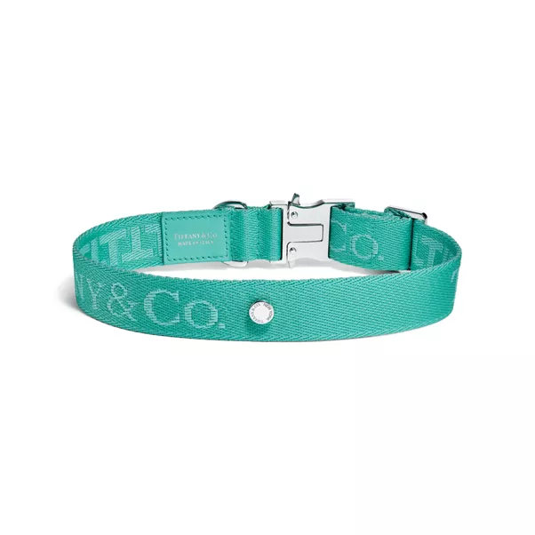 Collar in Tiffany Blue™ Canvas