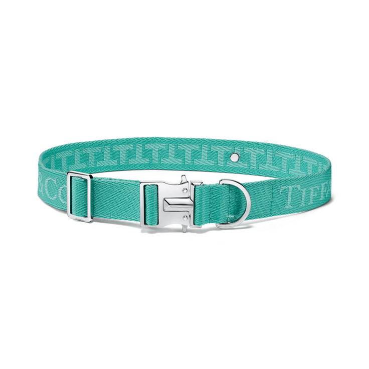 Pet Essentials:Collar in Tiffany Blue™ Canvas image number 1