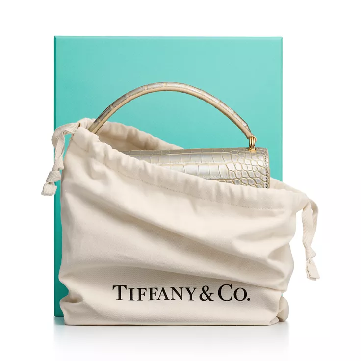 Jean Schlumberger by Tiffany:Medium Ribbons Top Handle Bag in Alligator Leather, 4