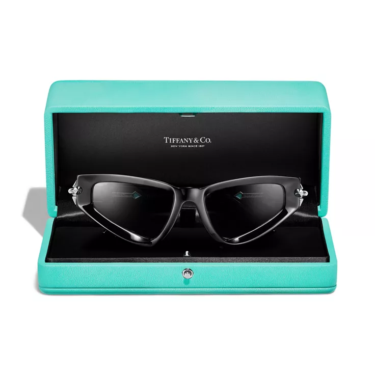 Tiffany Titan by Pharrell Williams:DOWNTOWN Sunglasses in Black Acetate, 4