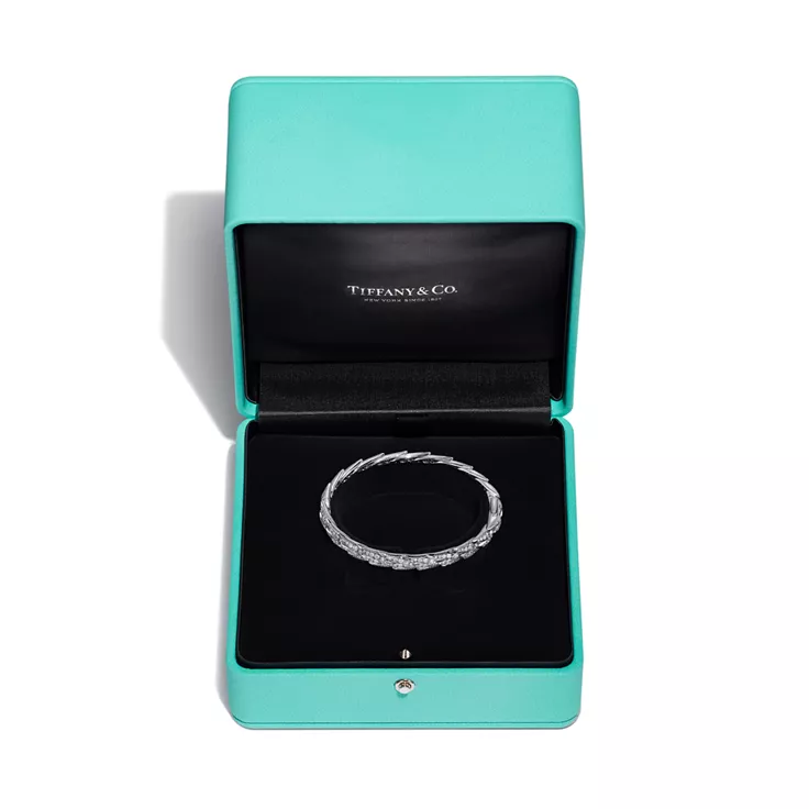 Bird on a Rock by Tiffany:Wings Wide Bangle in Platinum with Diamonds, 5