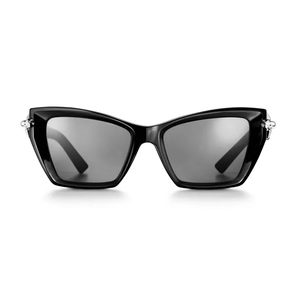 SPEAKER Sunglasses in Black Acetate
