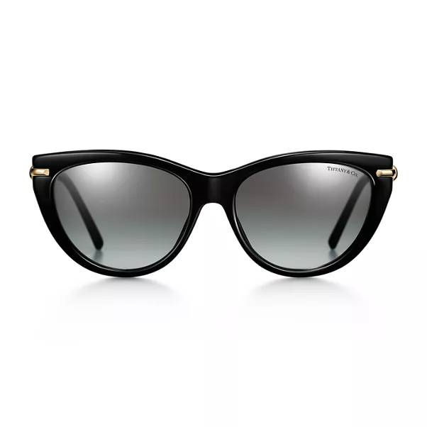 Sunglasses in Black Acetate with Gray Gradient Lenses