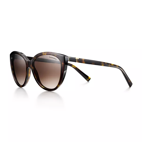 Sunglasses in Tortoise Acetate with Brown Gradient Lenses