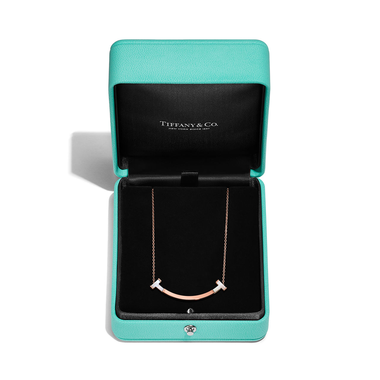 Tiffany T - thumbnail 6