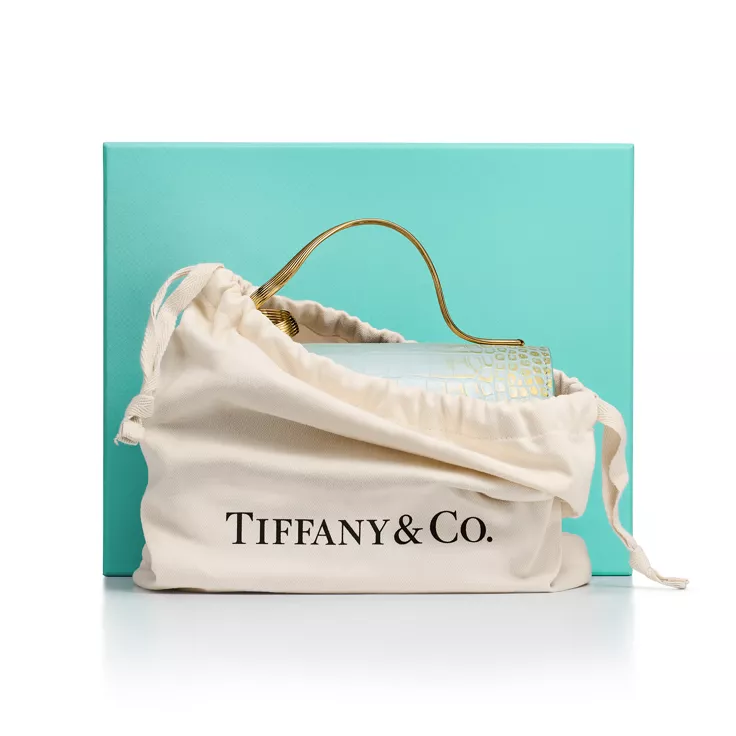 Jean Schlumberger by Tiffany:Bolso Ribbons mini de piel de caim&aacute;n con asa superior, 4