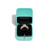 Sixteen Stone by Tiffany:Solitaire Diamond Ring in Platinum and Yellow Gold image number 8