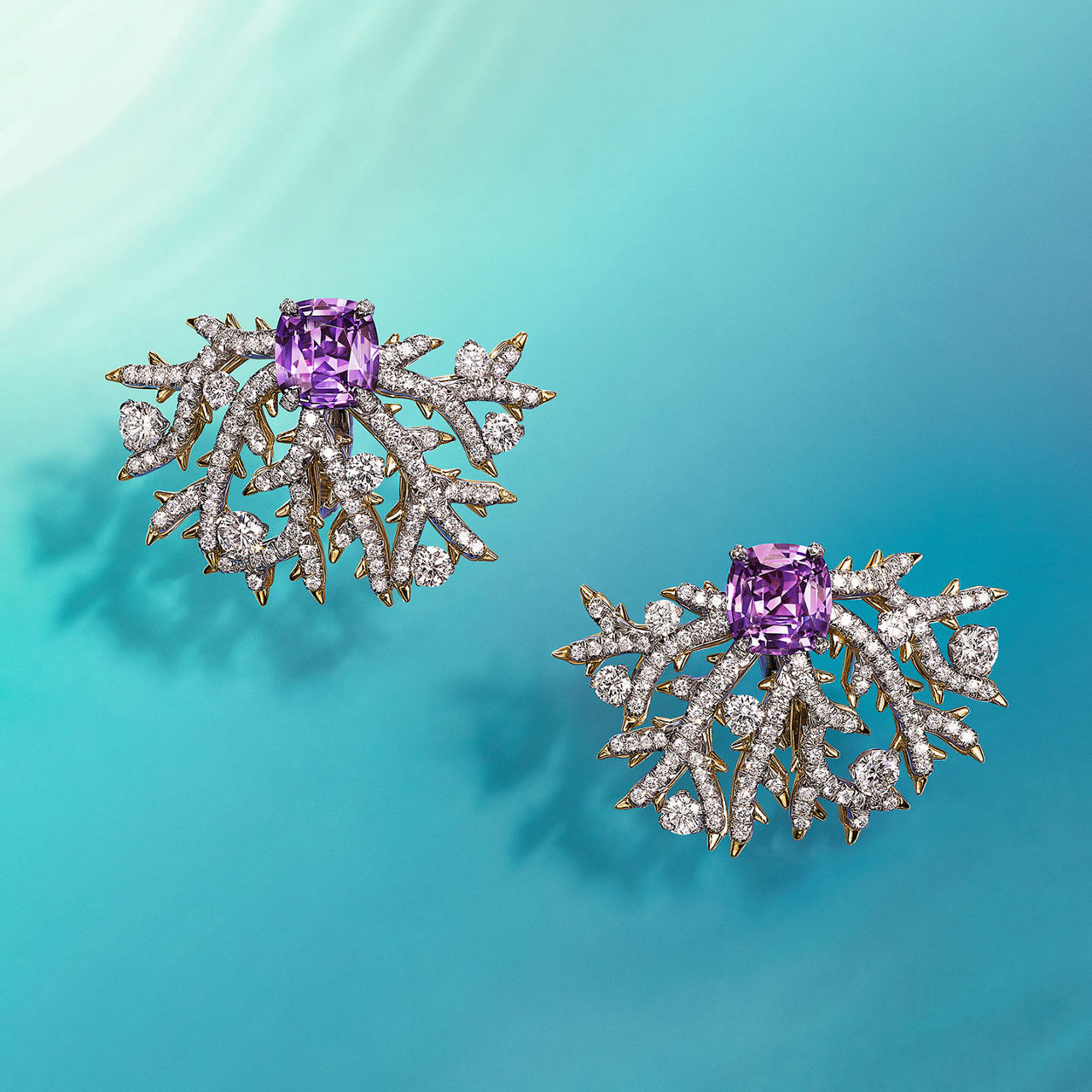 Coral, Reimagined