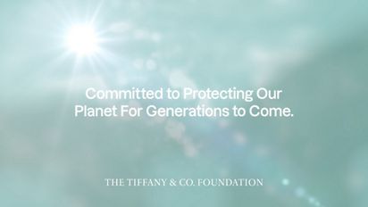 Tiffany and discount co foundation logo