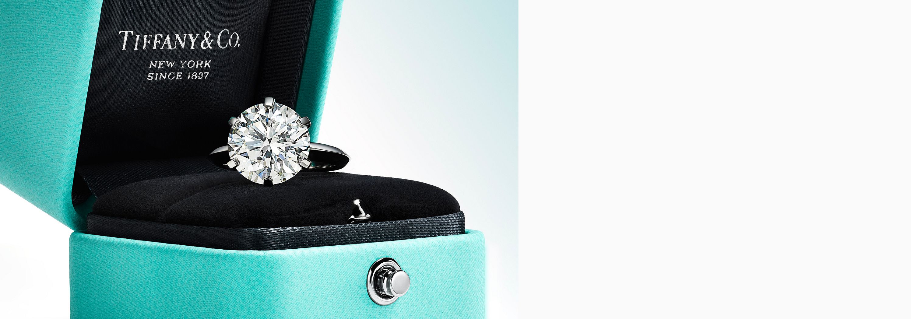 Tiffany & co discount product life cycle