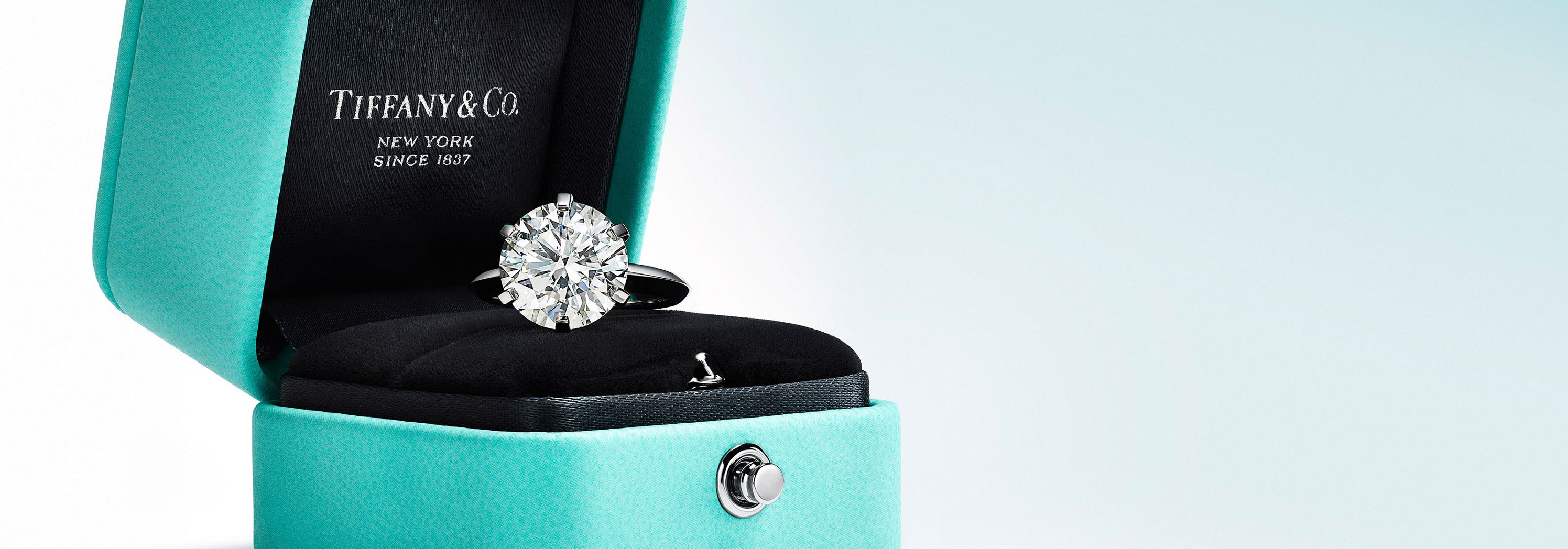 The Tiffany® Setting Engagement Ring in Platinum