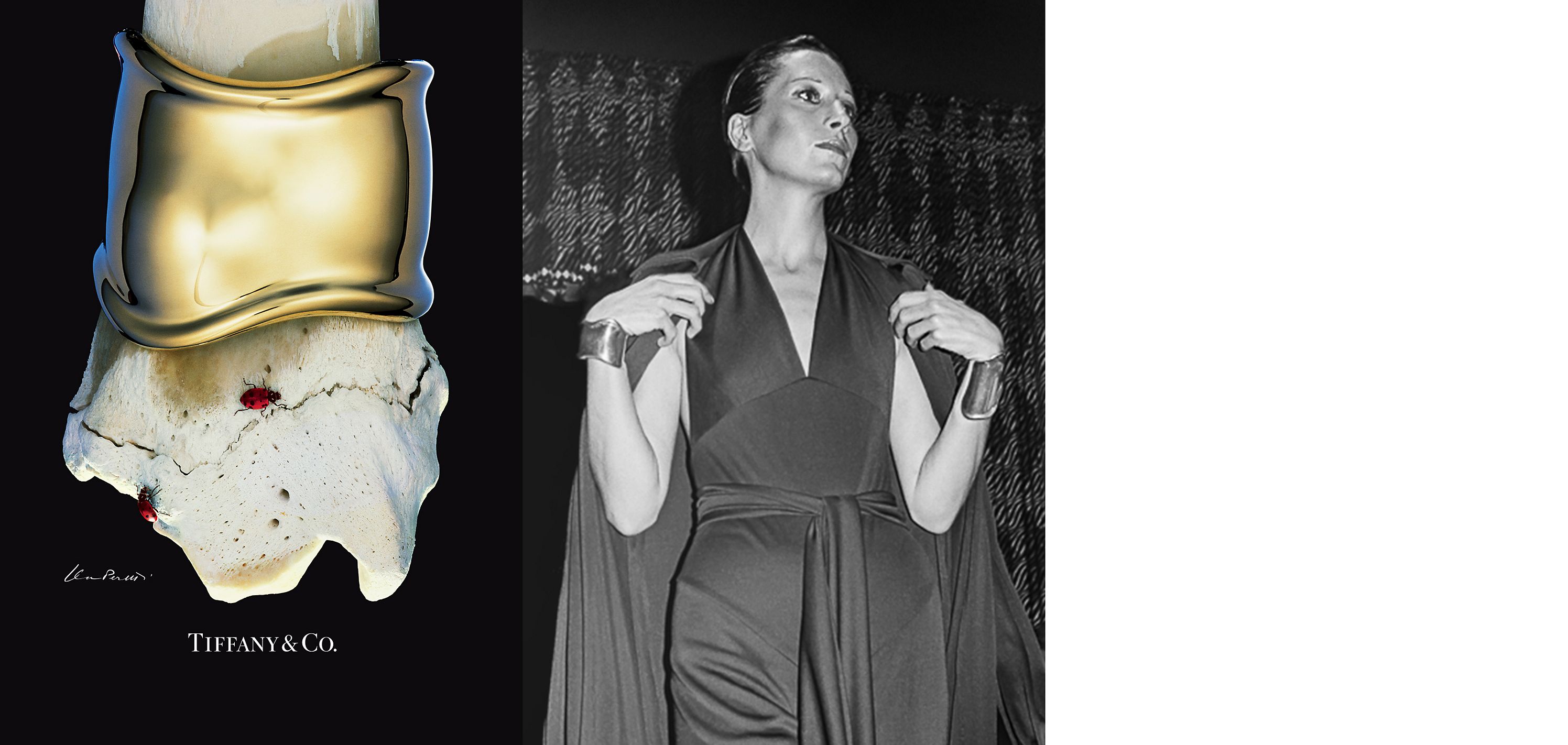 ボーン カフ 50年の歴史 | Tiffany & Co. ボーン カフ 50年の歴史 | Tiffany & Co.