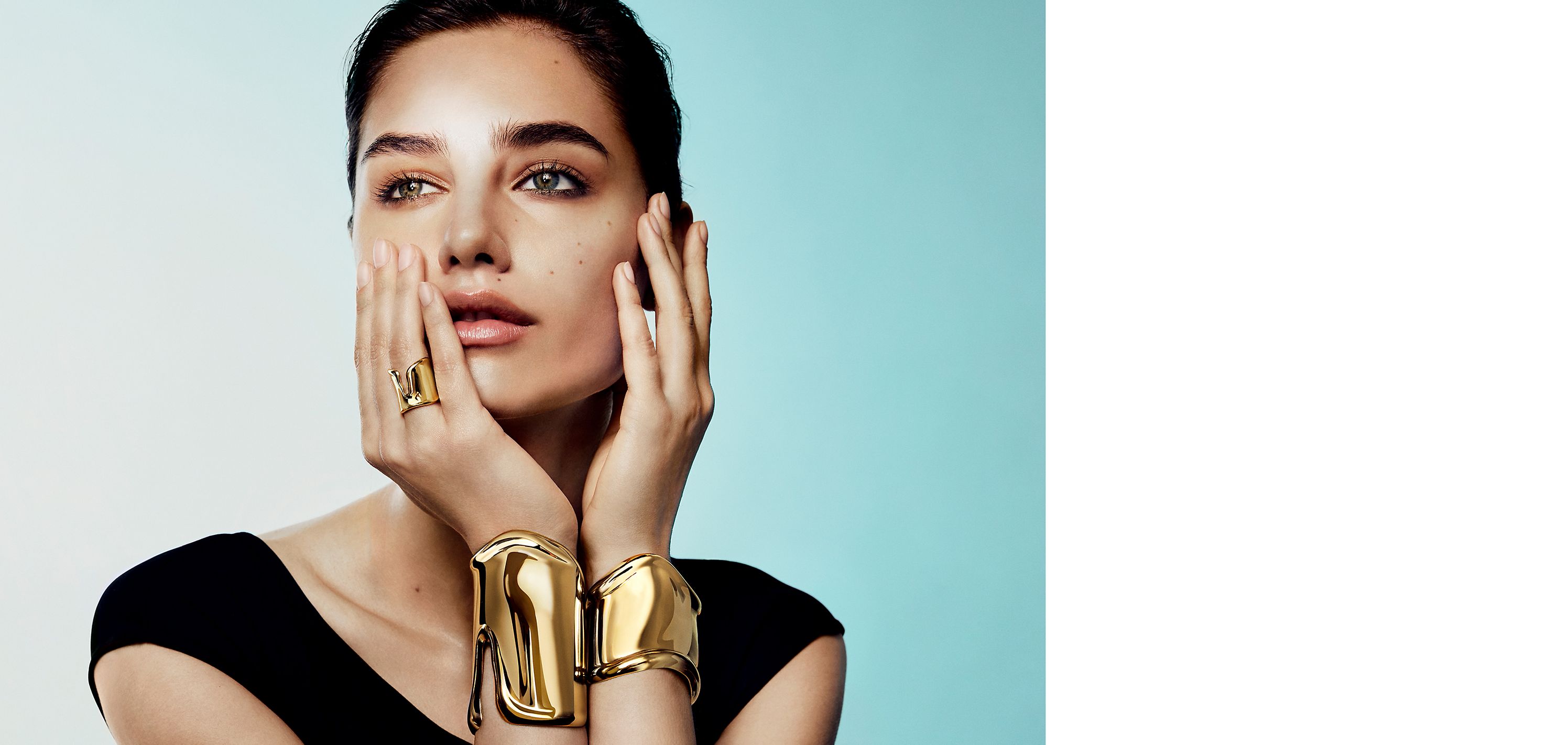 ボーン カフ 50年の歴史 | Tiffany & Co. ボーン カフ 50年の歴史 | Tiffany & Co.