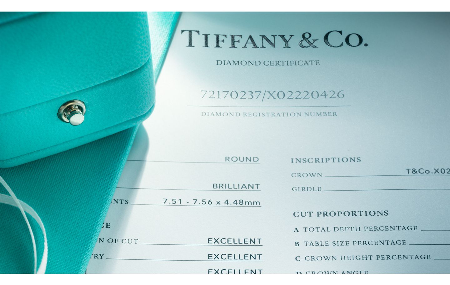 Пожизненное сервисное обслуживание | Tiffany & Co.