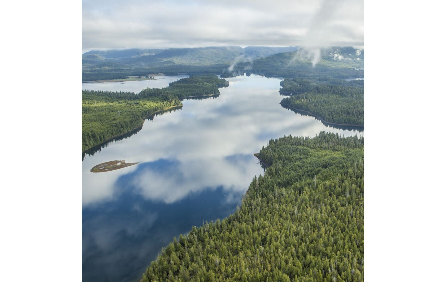 Corporate Philanthropy