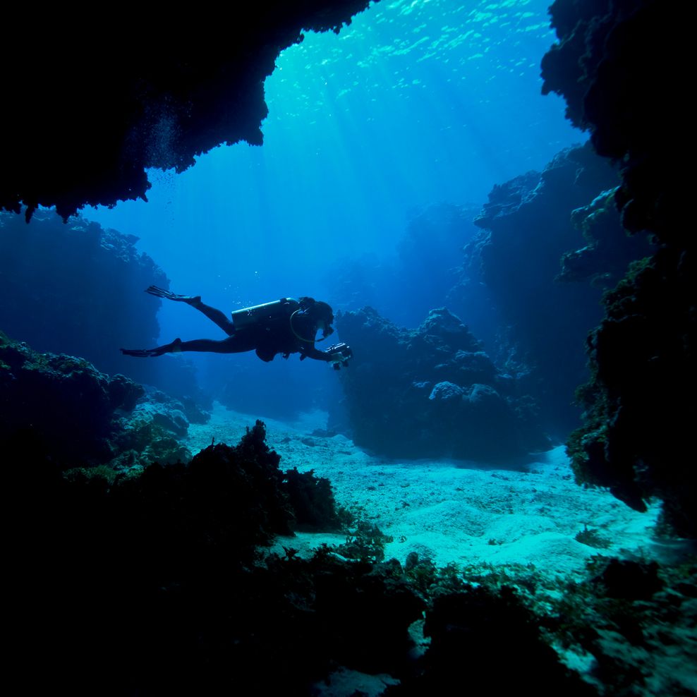 Celebrating 25 Years of The Tiffany & Co. Foundation