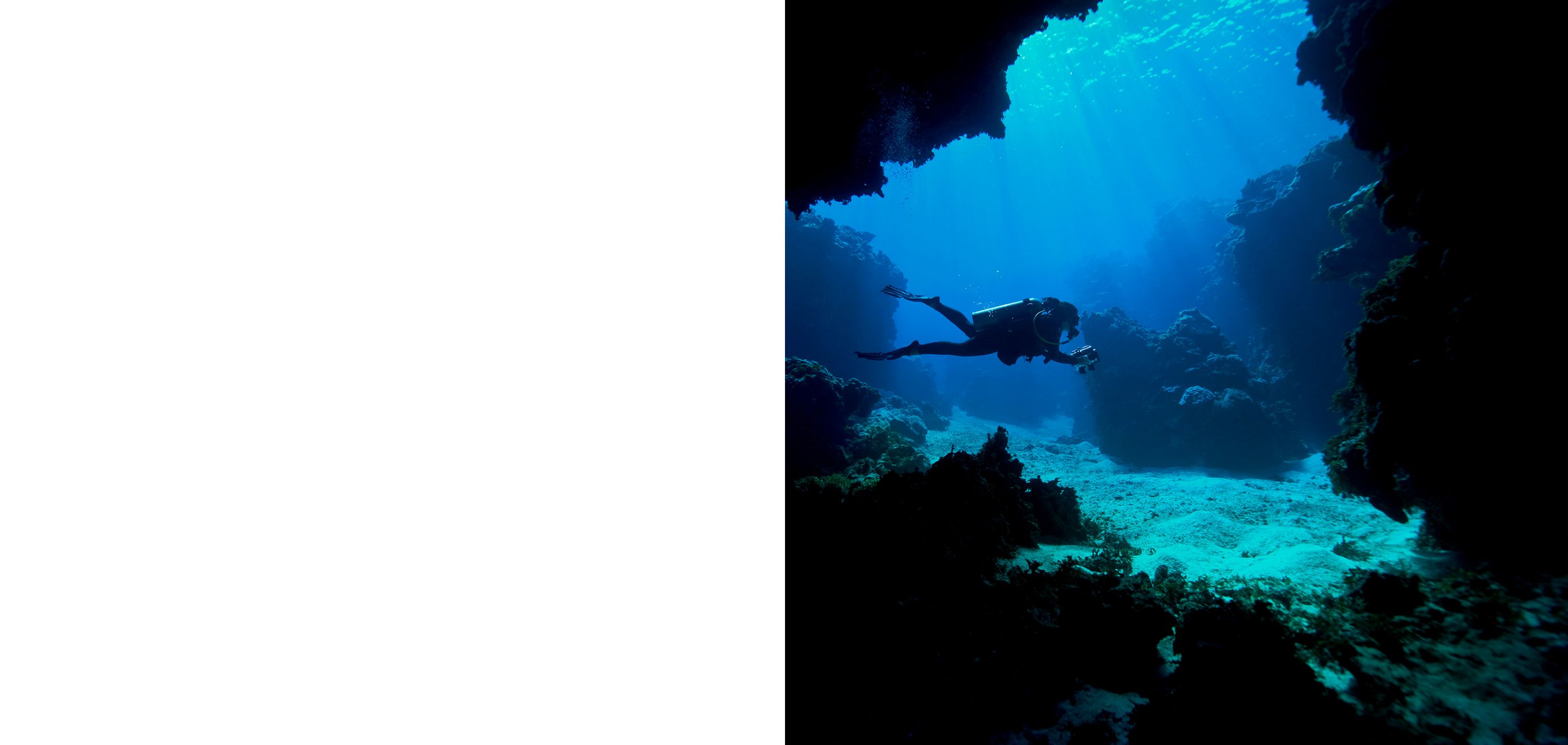 Celebrating 25 Years of The Tiffany & Co. Foundation