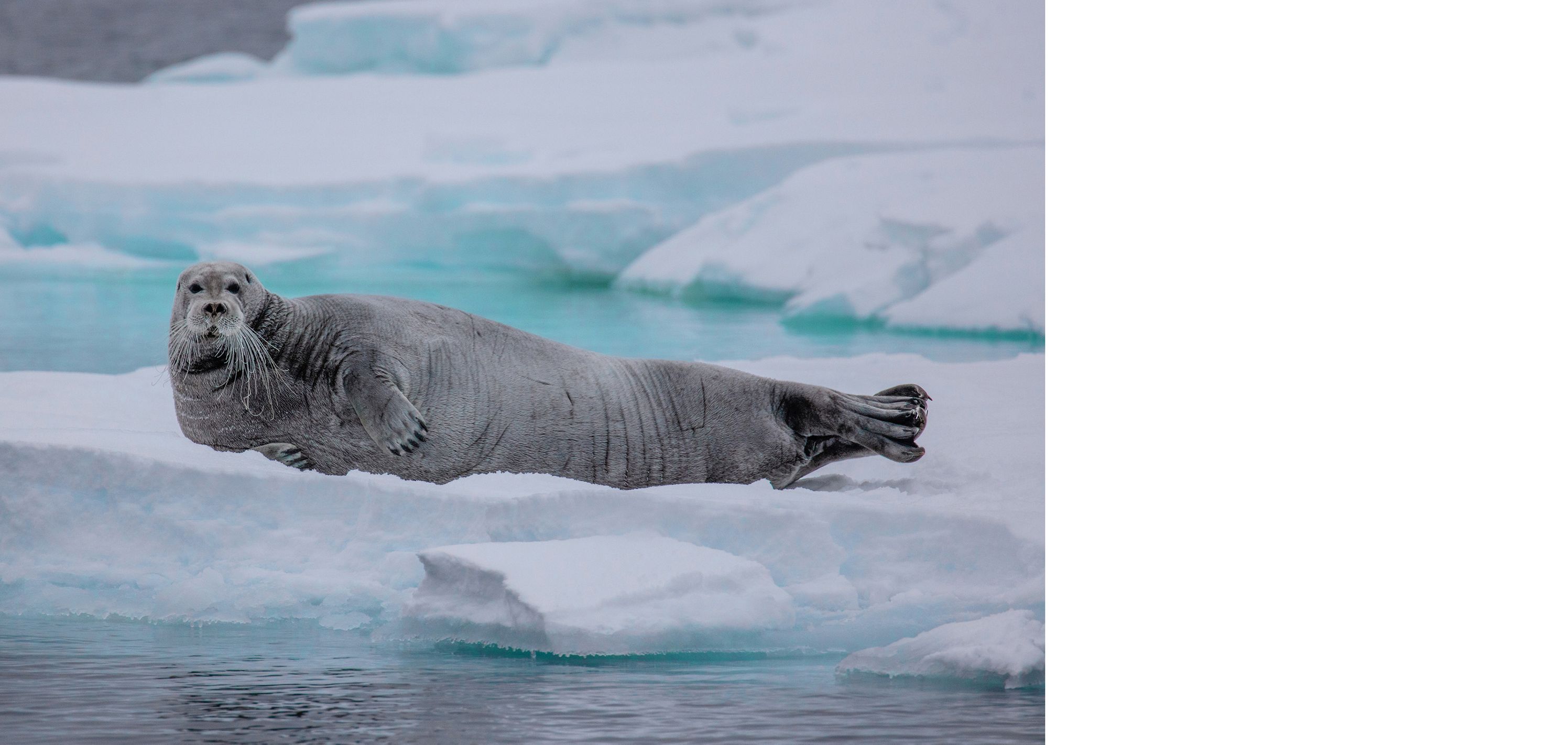 Celebrating 25 Years of The Tiffany & Co. Foundation