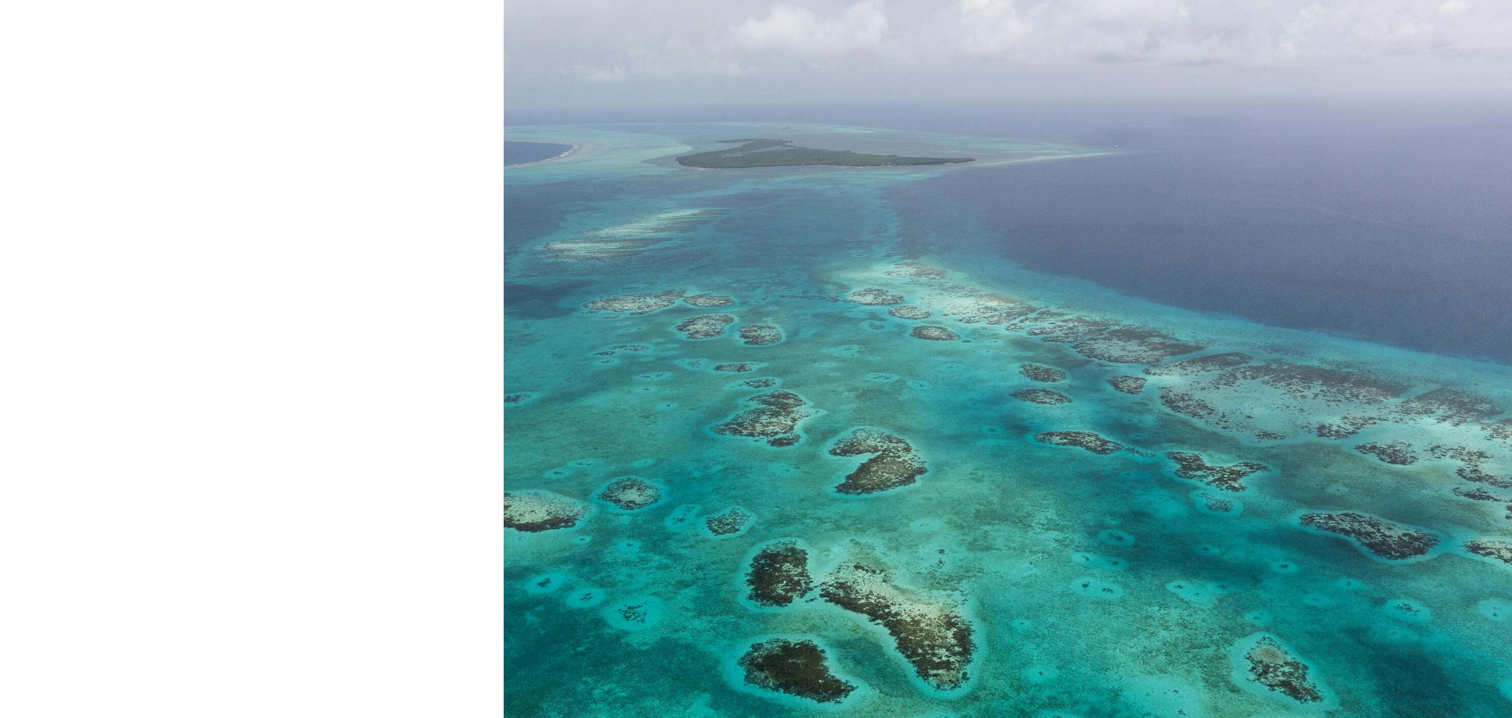 Tiffany & Co. Celebrates World Ocean Day