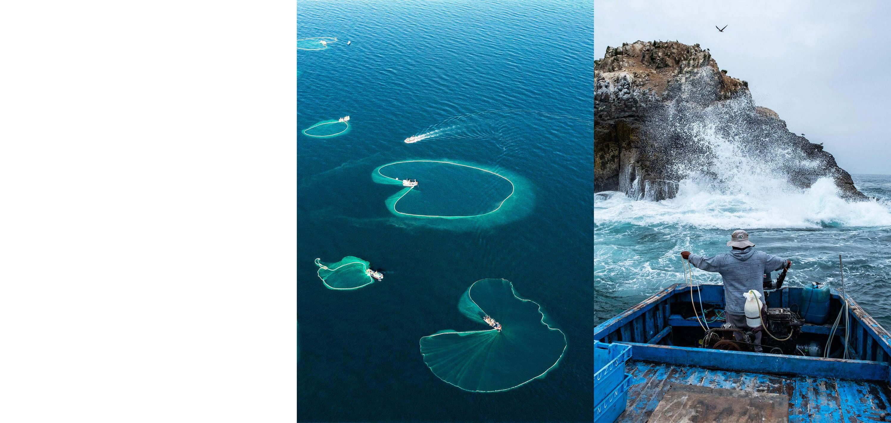 Tiffany & Co. Celebrates World Ocean Day
