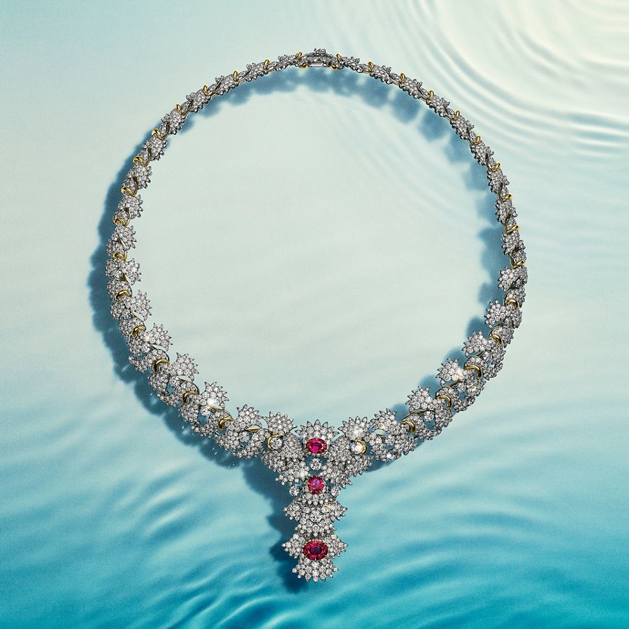 2025_FALL_BB_AnemoneLP_FWMH_1_