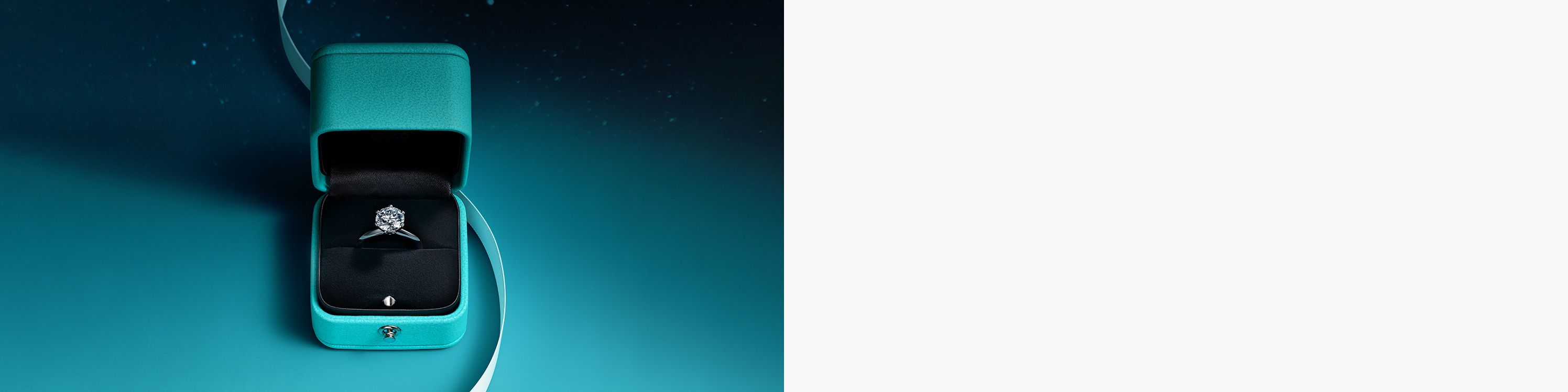 Explore Tiffany & Co. Engagement Rings