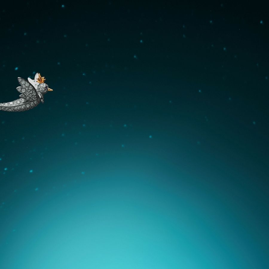 バード オン ア ロック ジュエリー コレクション | Tiffany & Co.