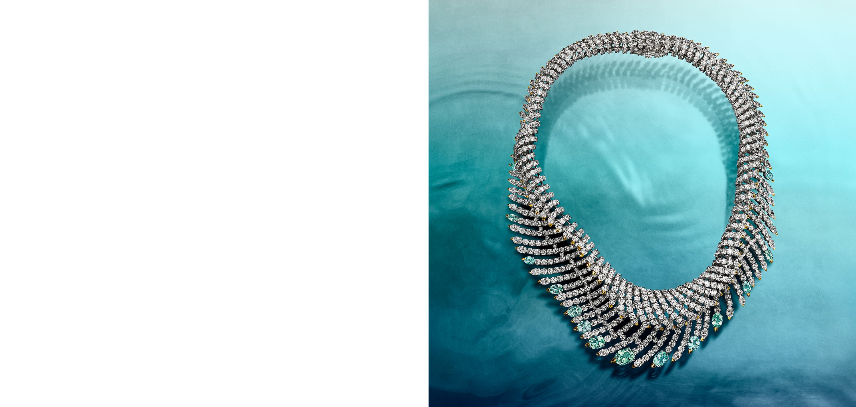 Blue Book 2025: Sea of Wonder