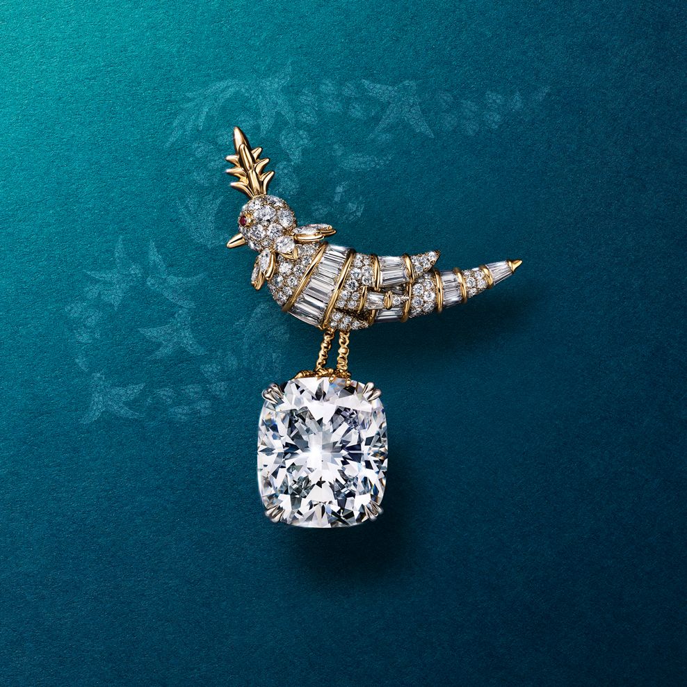 自然界と動植物