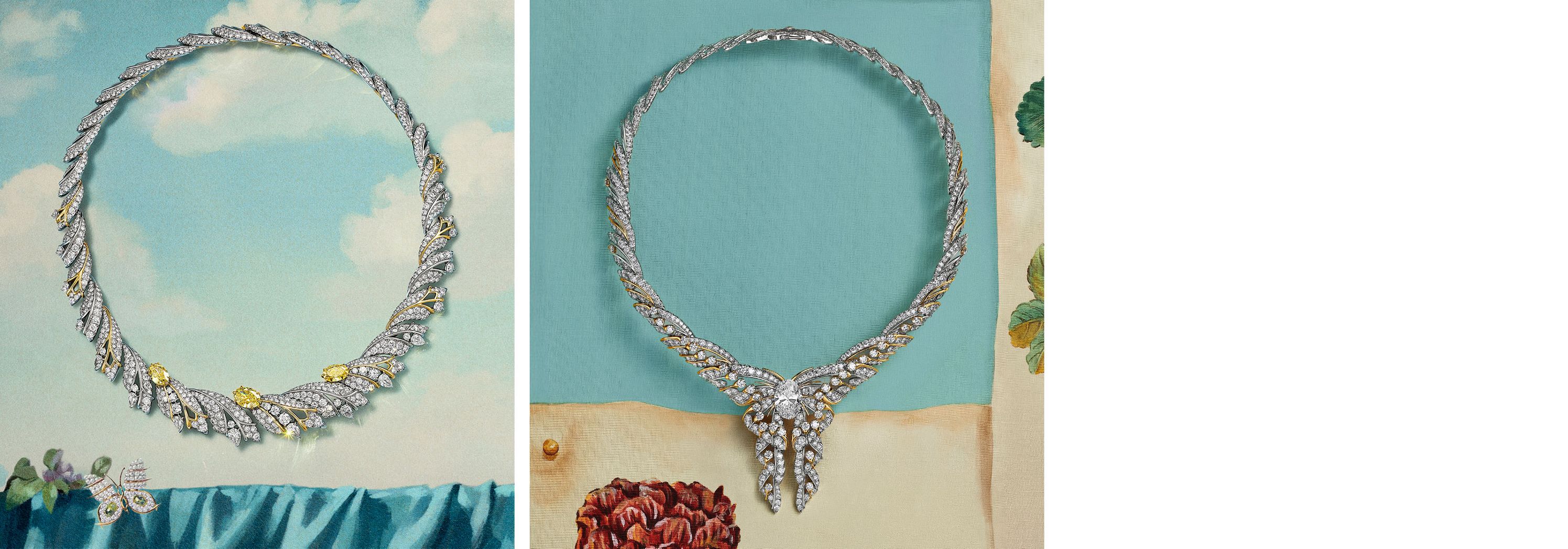 Explore the Collection