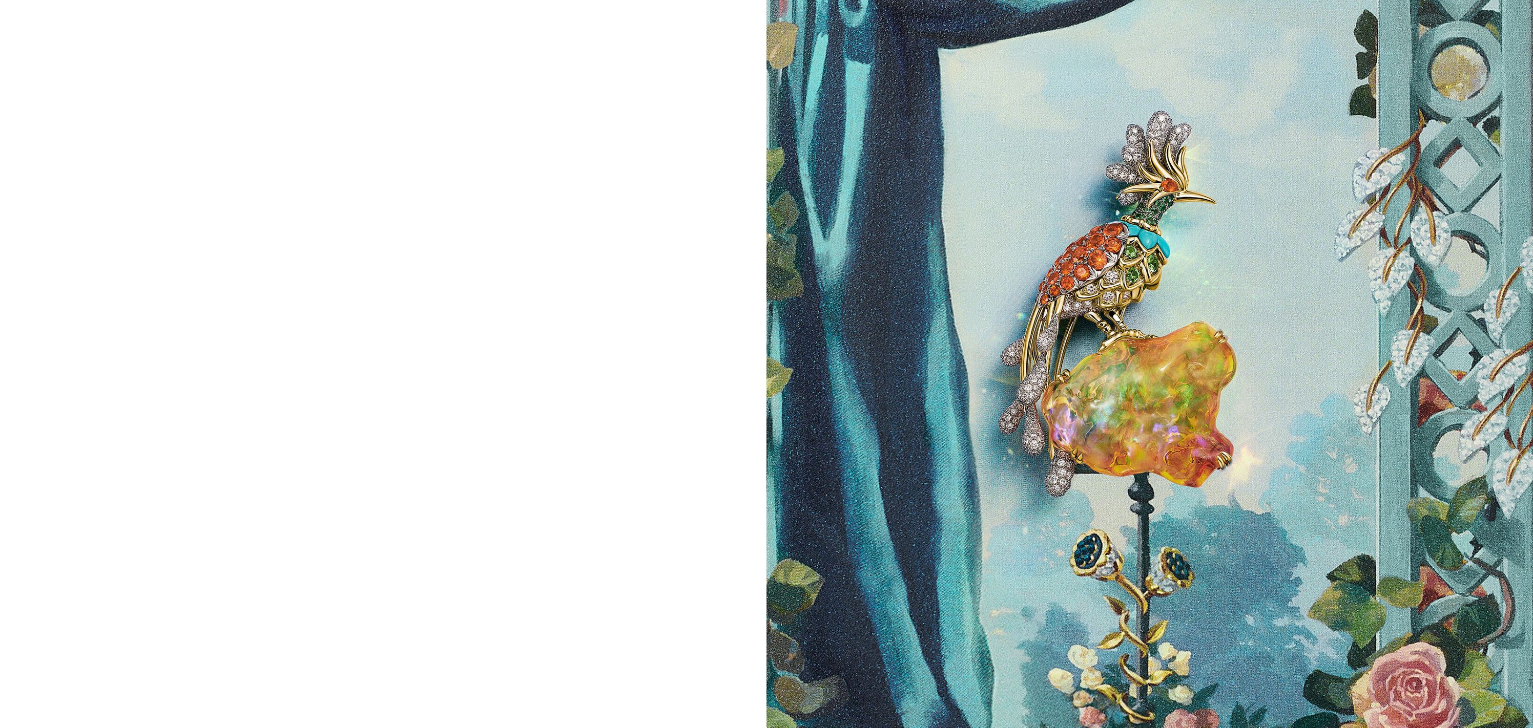 パラダイス バード