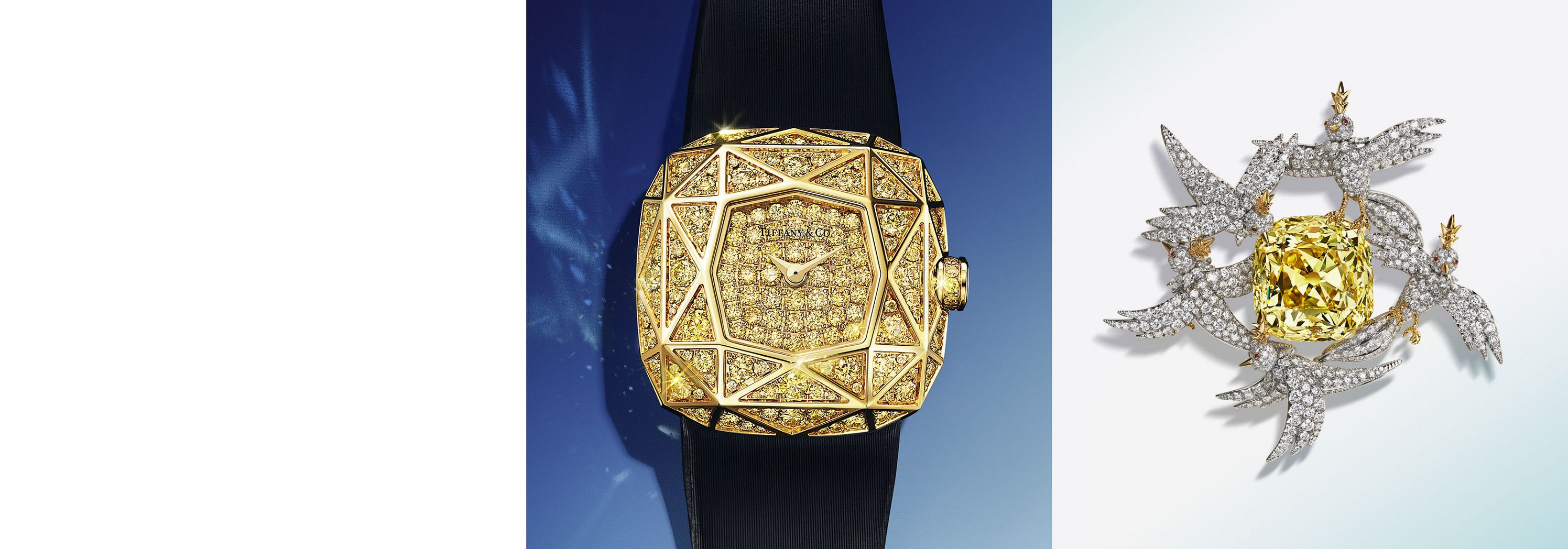 The Ultimate Diamond Watch