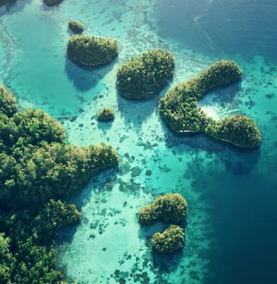 ocean overhead image
