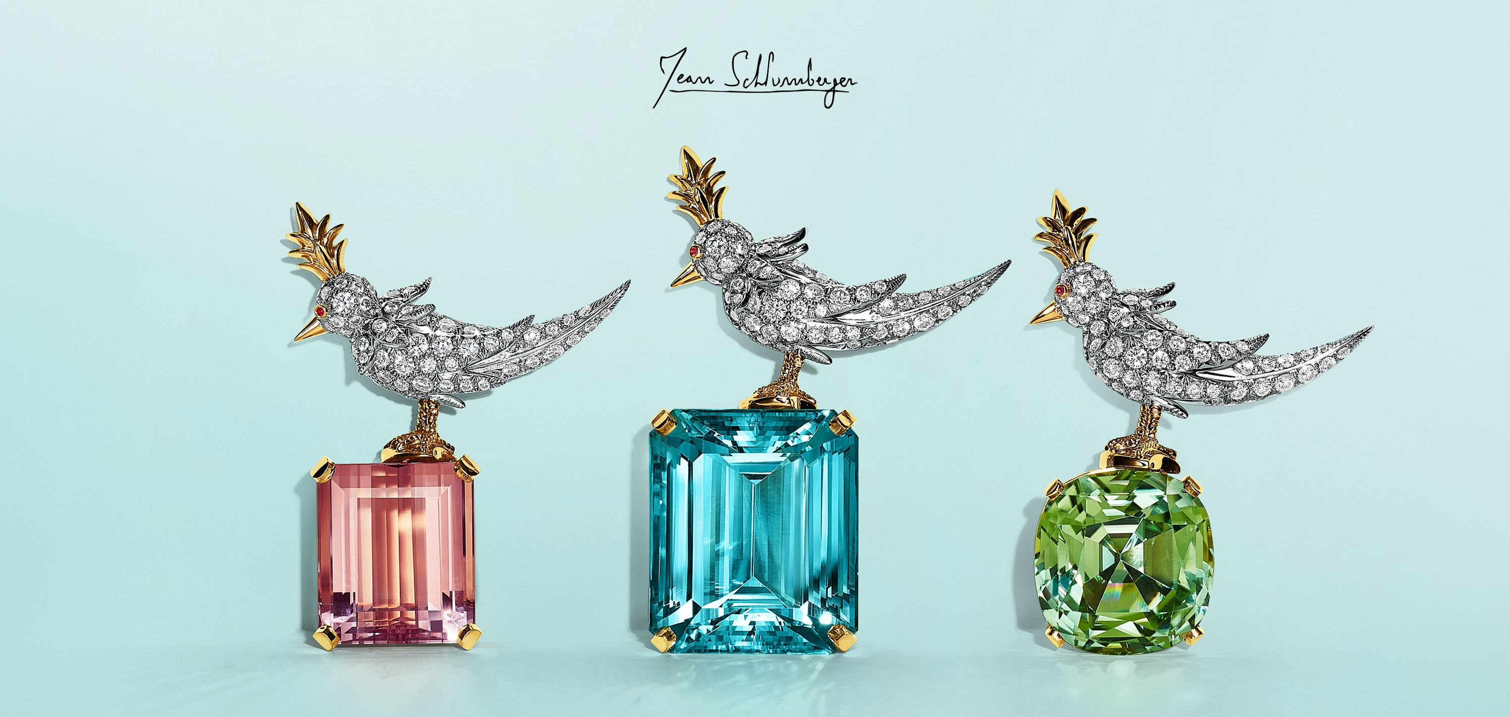 Брошь Jean Schlumberger by Tiffany Bird on a Rock | Tiffany & Co.