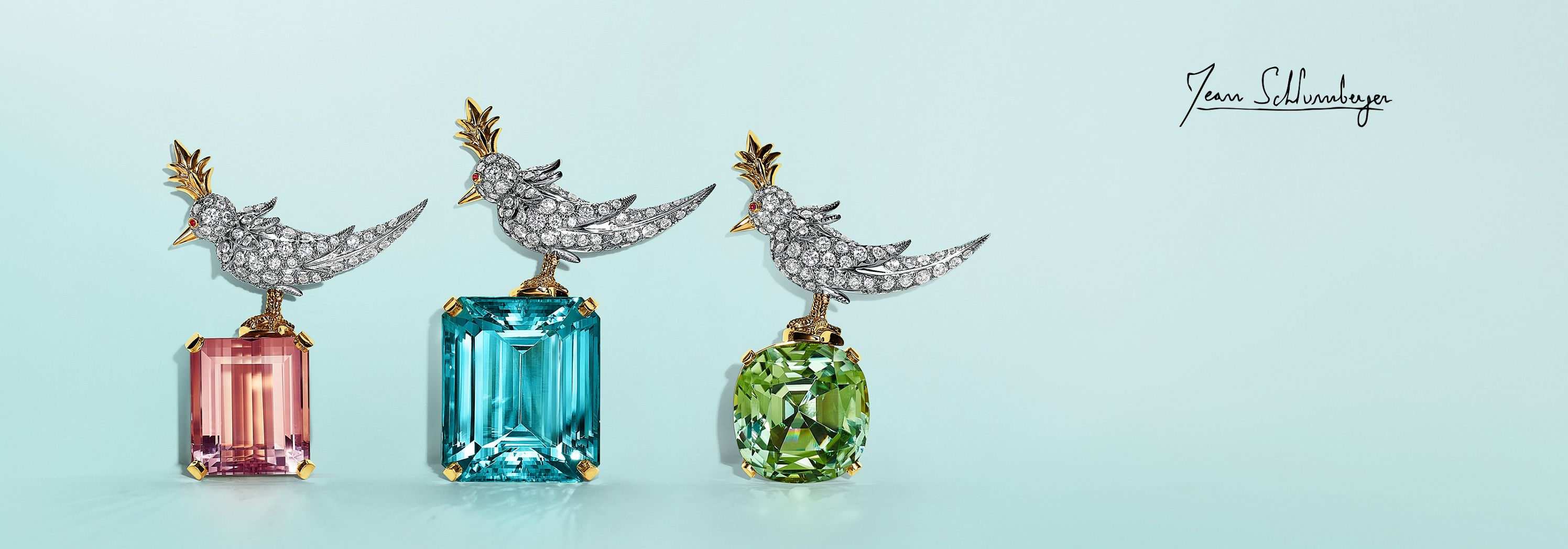Jean Schlumberger 高級珠寶系列| Tiffany & Co.
