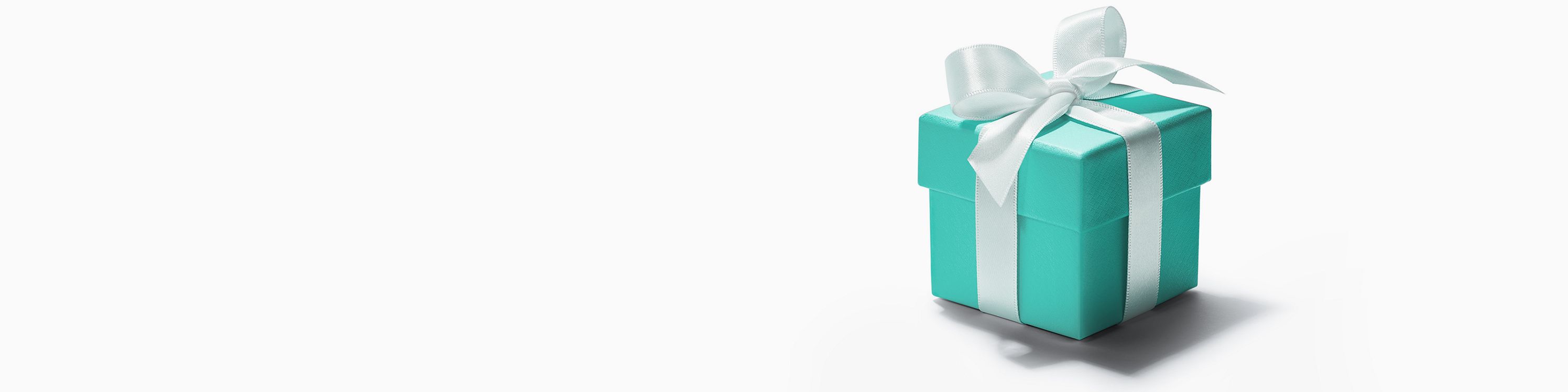 Customer Service Blue Box
