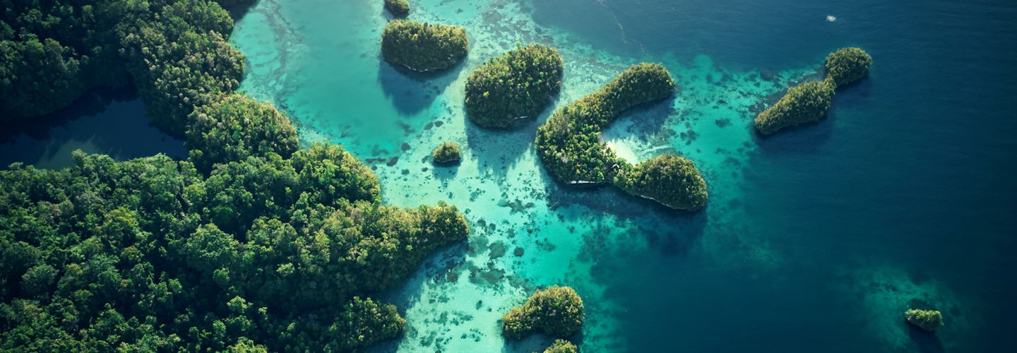 Tiffany Foundation News