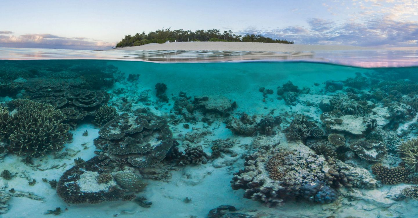 Tiffany Foundation News