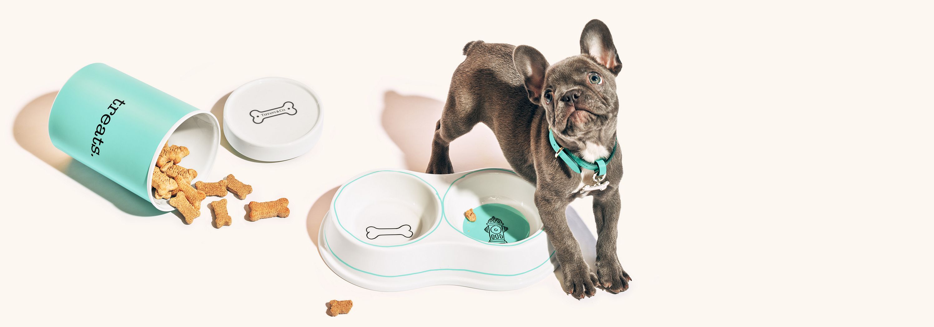 新作ホーム ＆ アクセサリーのデザインを見る