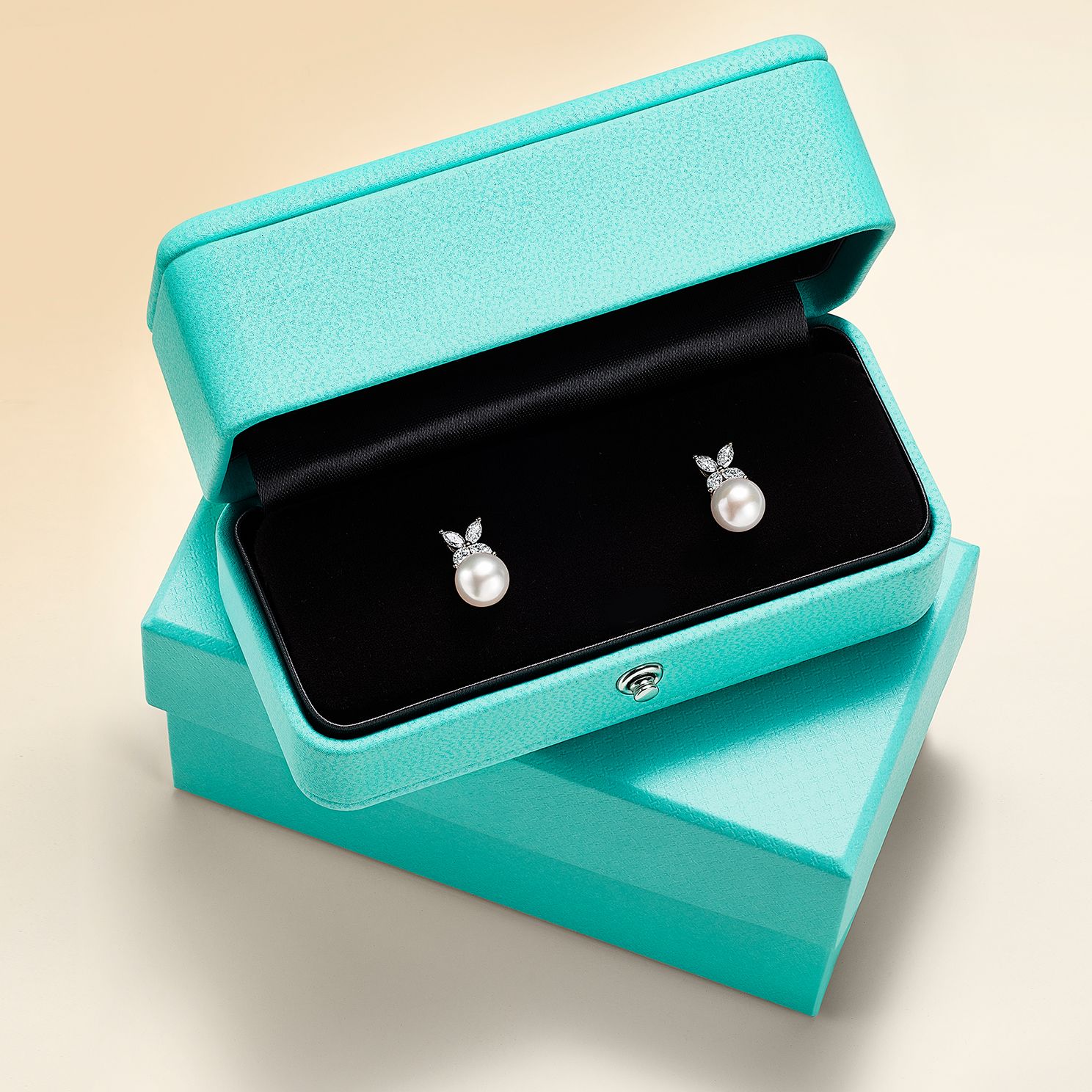 Earrings for Women Tiffany Co