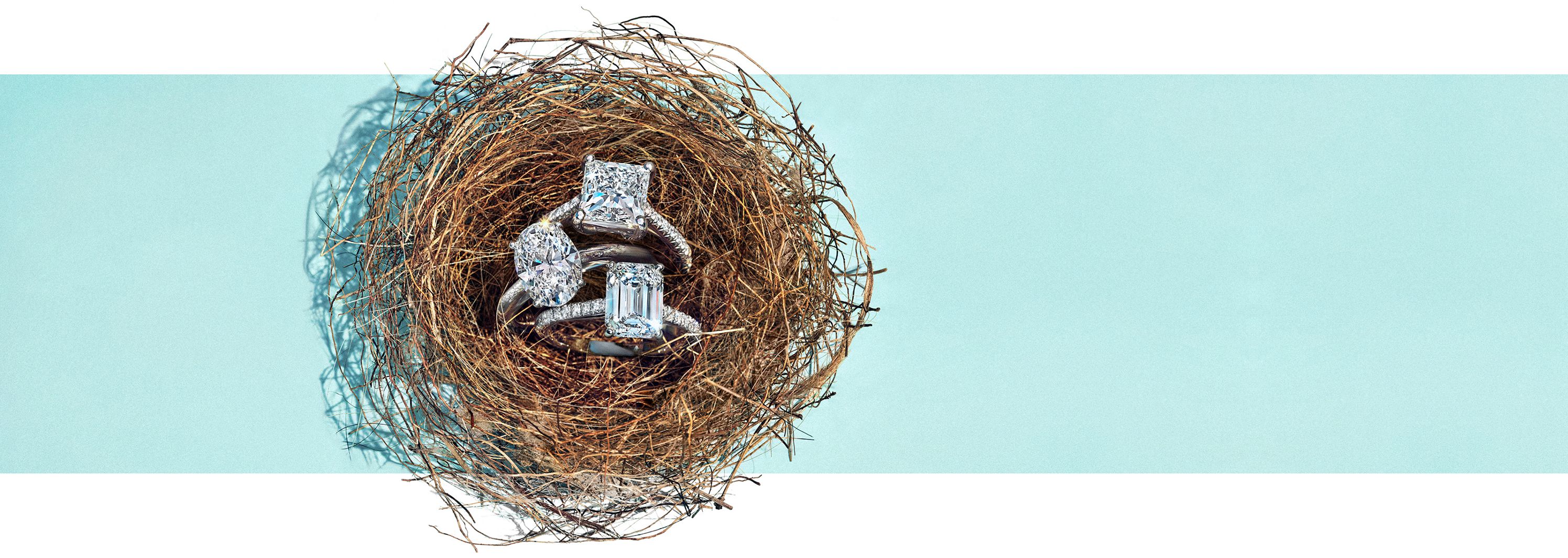 Tiffany & Co. Fancy Shapes