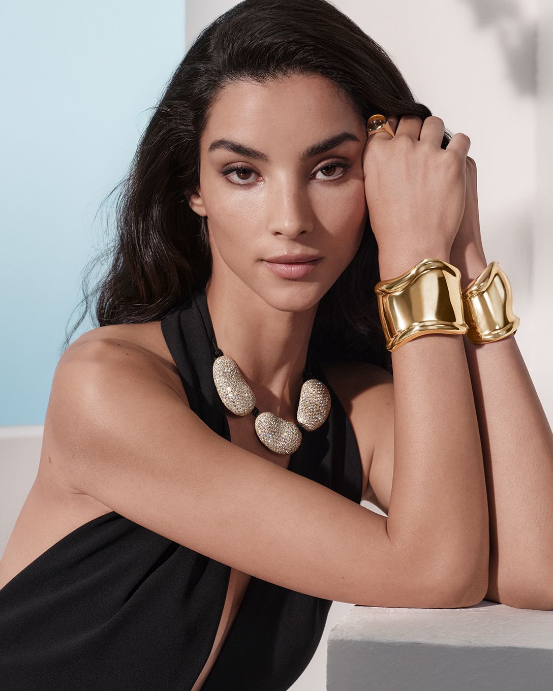 エルサ・ペレッティ™のジュエリー