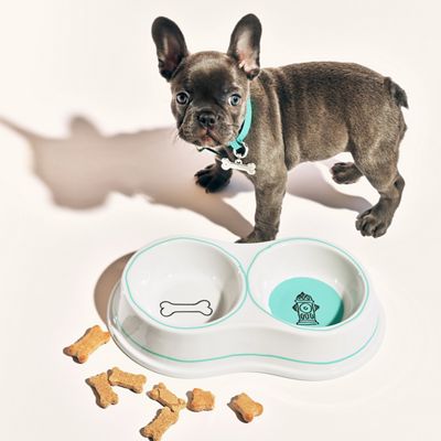 tiffany dog harness