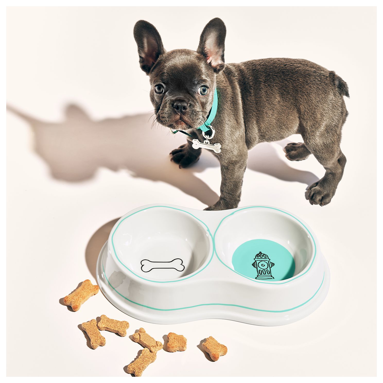 Tiffany & Co. ティファニー 首輪 カラー リード リーシュ 犬 S Tiffany & Co. ティファニー 首輪 カラー リード リーシュ 犬 S