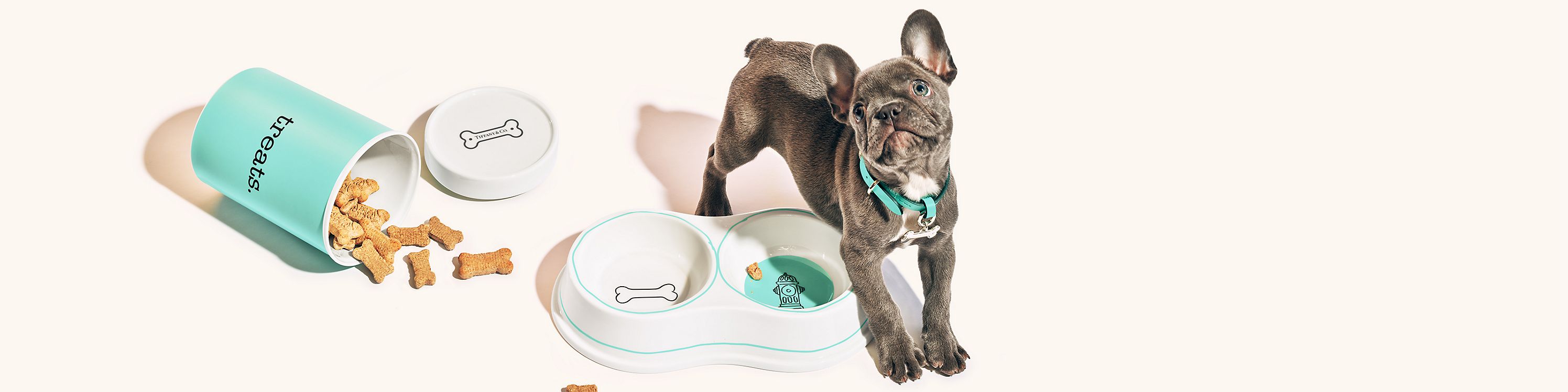 Conozca los accesorios para mascotas de Tiffany