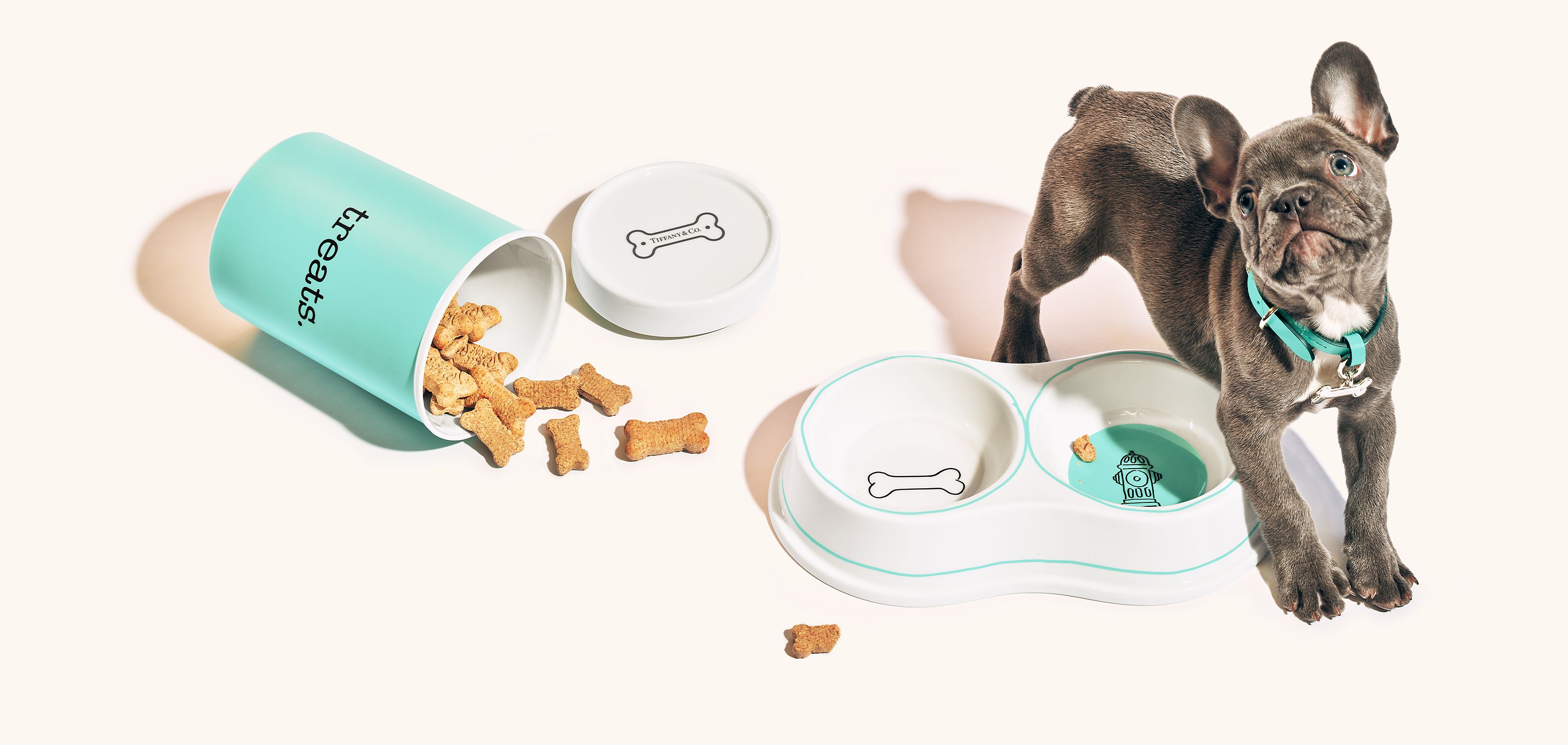 Dog bowl in bone china, extra small. | Tiffany & Co. US Dog bowl in bone china, extra small. | Tiffany & Co. US